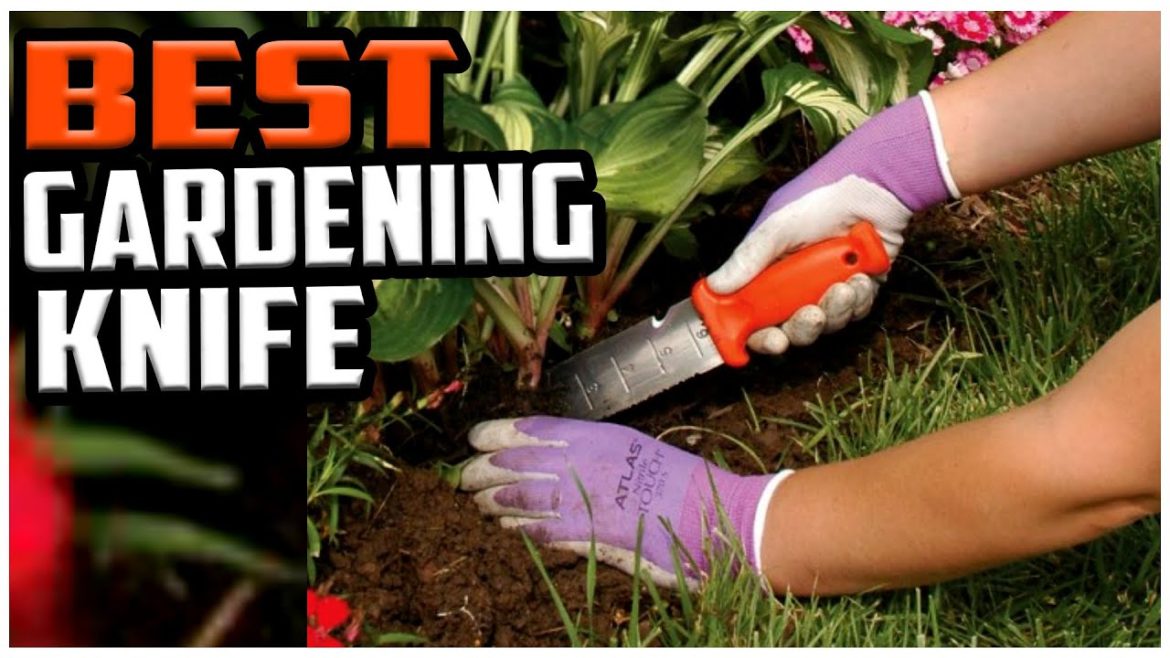 Top 5 Best gardening knife in 2022 reviews Top 5 Best gardening knife in 2022 reviews
