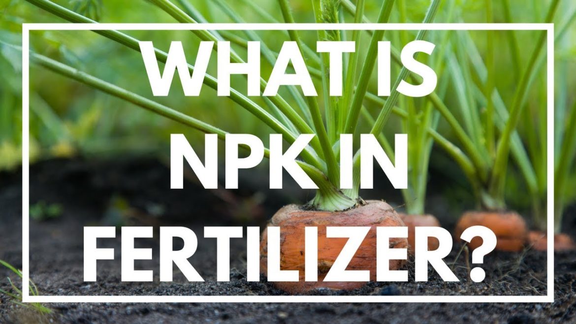 Gardening Tips: What is NPK on a Fertilizer Bag? Gardening Tips: What is NPK on a Fertilizer Bag?