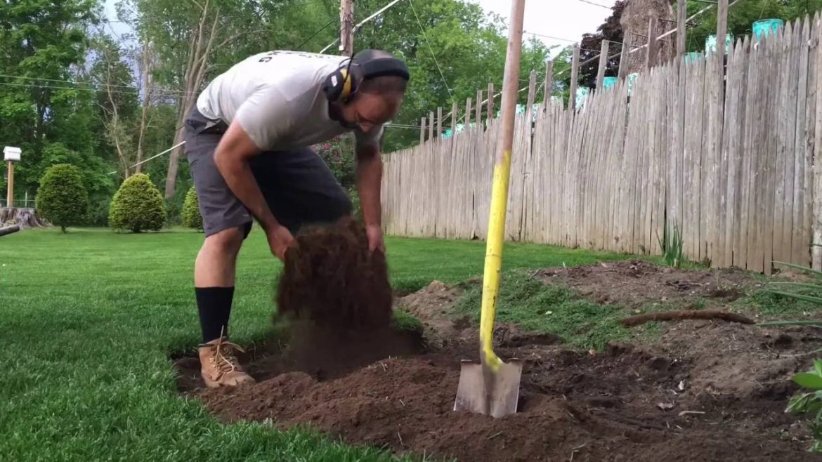 How To Cut And Repurpose Sod - Lawn & Garden TIPS