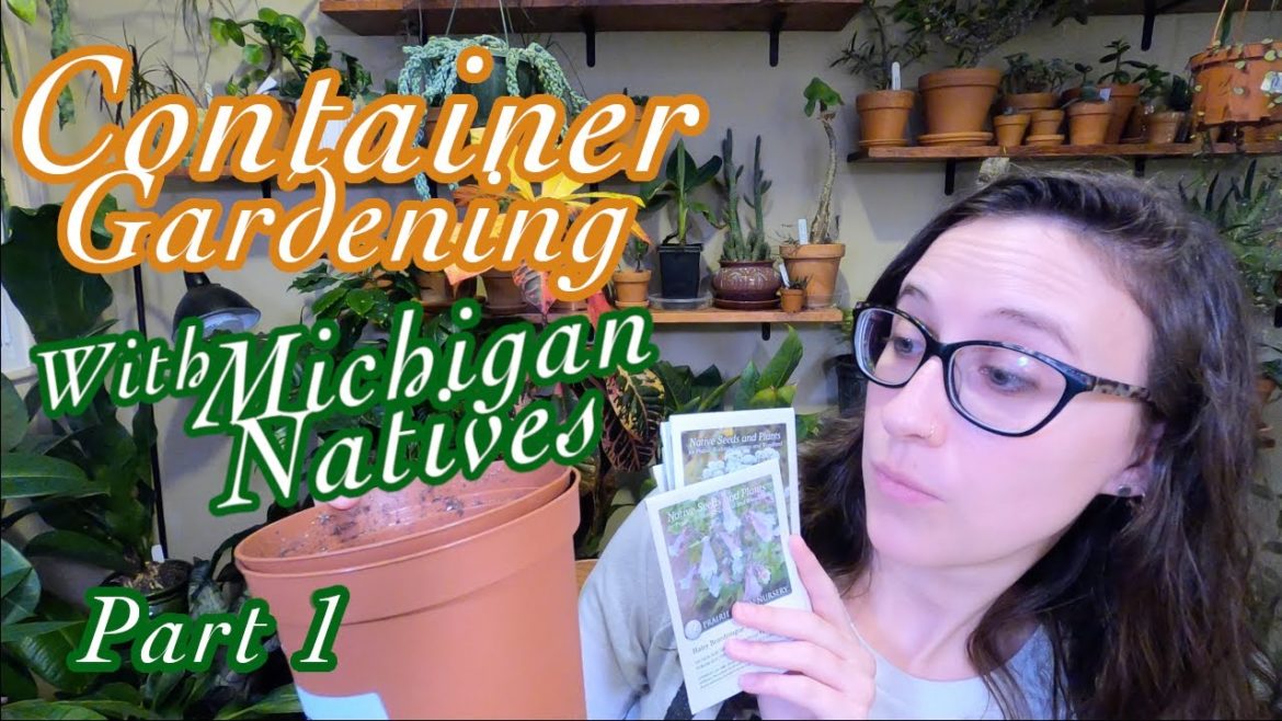 Small Space Gardening for Pollinators | Container Garden with Native Plants | Seed Starting Part 1 Small Space Gardening for Pollinators | Container Garden with Native Plants | Seed Starting Part 1