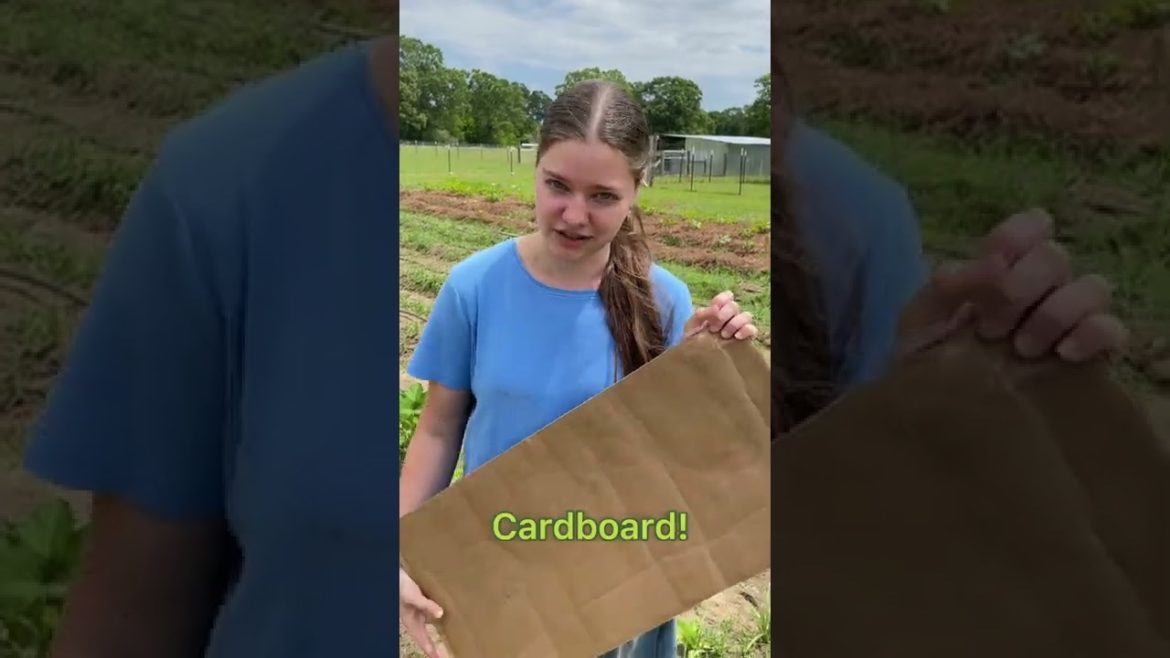 Garden Tips: Weed Like a Pro! #shorts