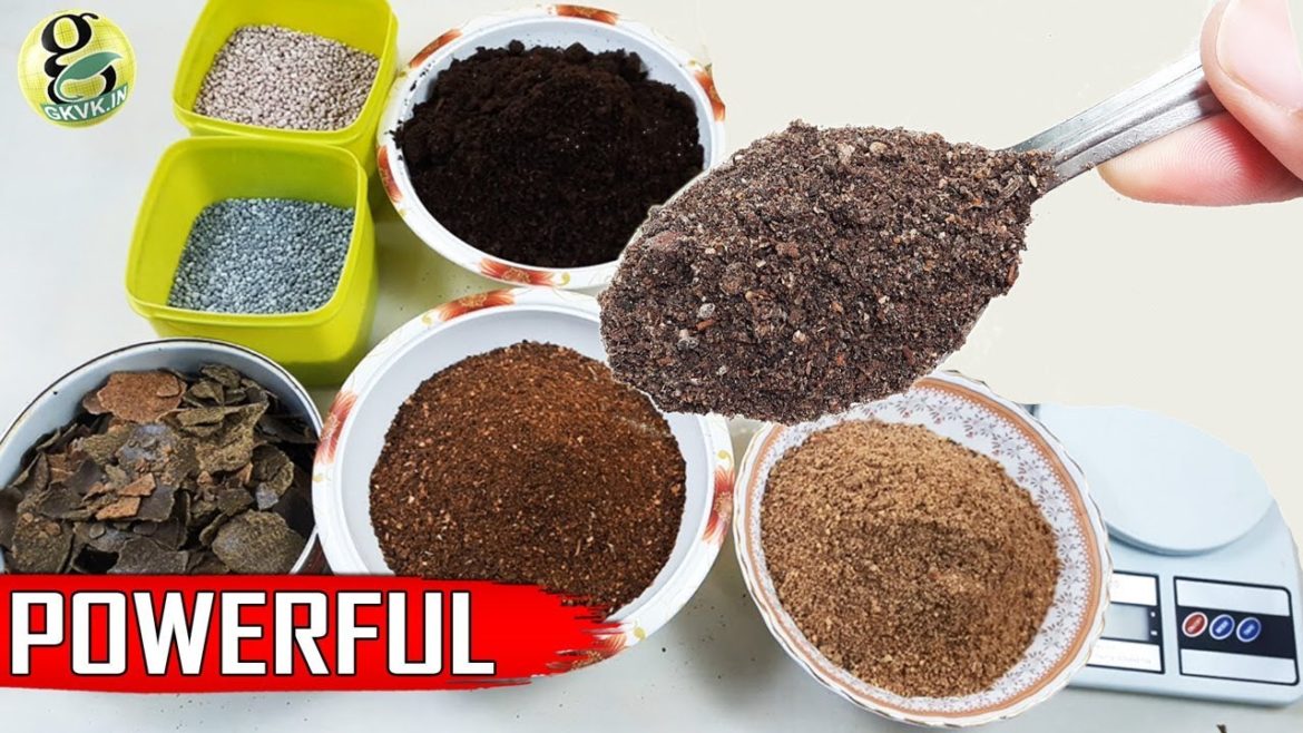Best DIY Fertilizer Mix Recipe:   Universal All-purpose Mixed Fertilizer Powder Best DIY Fertilizer Mix Recipe:   Universal All-purpose Mixed Fertilizer Powder