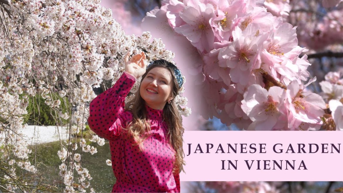 Setagaya Park | Japanese Garden in Vienna during Cherry Blossom Season | Vienna's best parks
