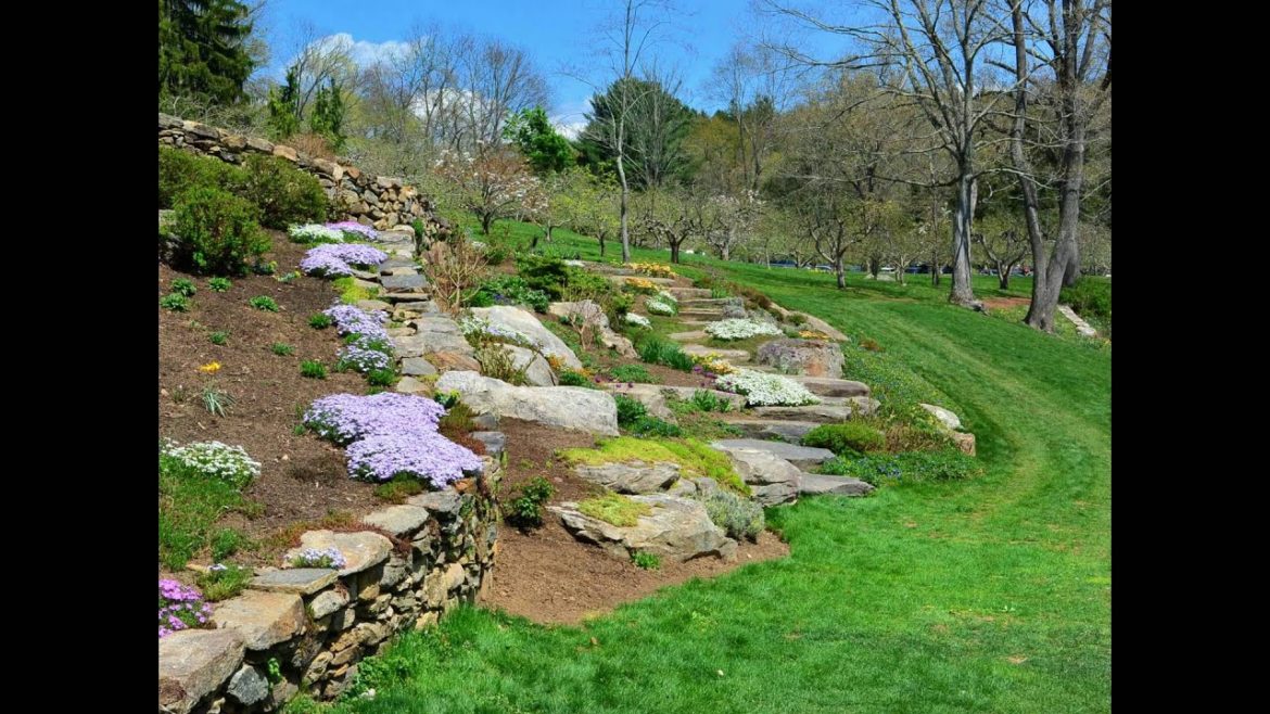 Steinhardt Garden "Landscapes"