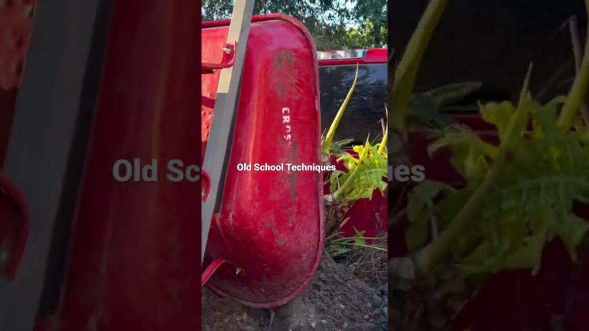 This Brilliant Hack Shows You How to Wheelbarrow Dirt on a Back of a Truck This Brilliant Hack Shows You How to Wheelbarrow Dirt on a Back of a Truck