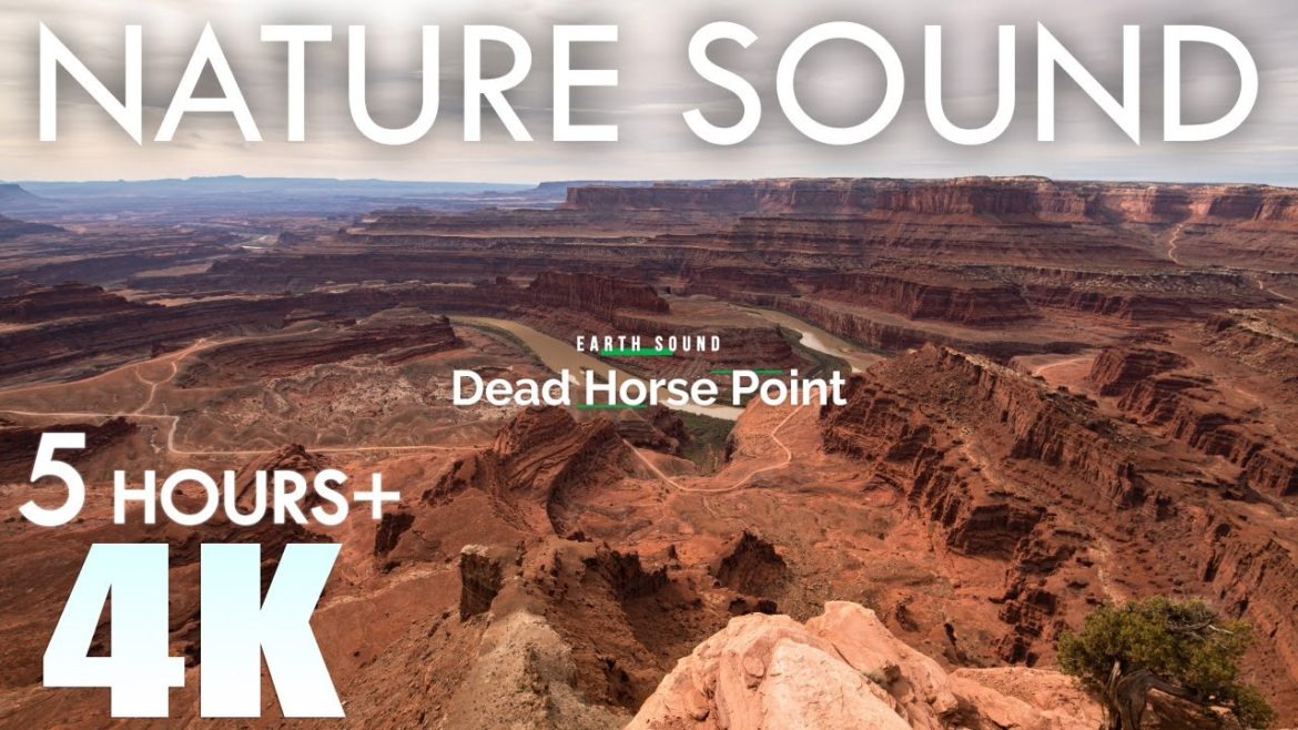 EARTH SOUND Dead Horse Point Nature Sounds Canyon Winds 5 Hours Relaxation Utah USA EARTH SOUND Dead Horse Point Nature Sounds Canyon Winds 5 Hours Relaxation Utah USA