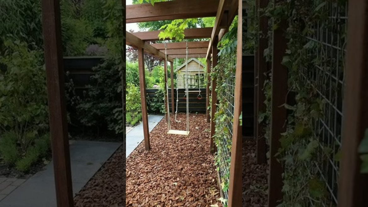 Backyard Design Ideas