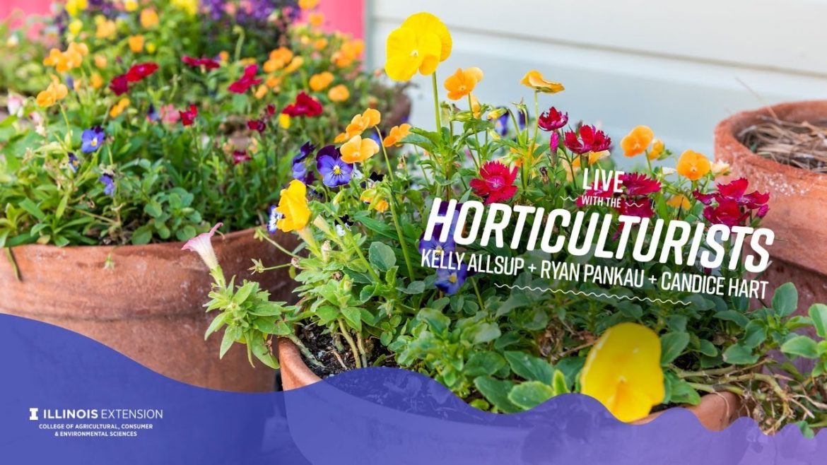 LIVE with the Horticulturists: Container Gardening LIVE with the Horticulturists: Container Gardening
