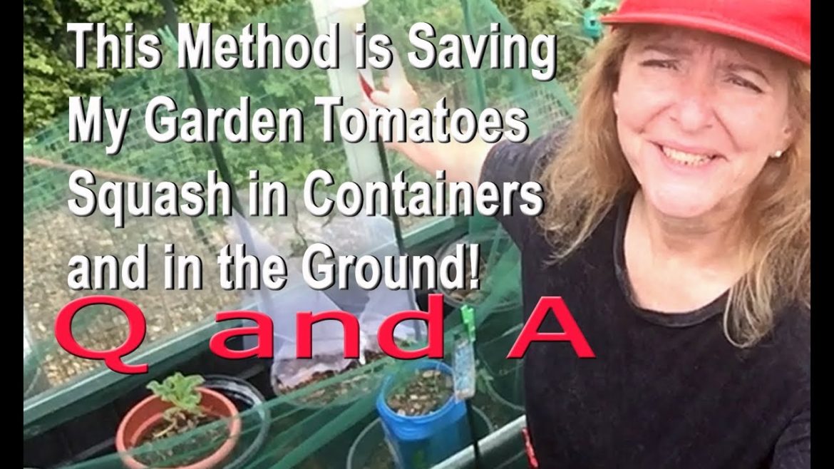 Protect Tomatoes Squash Strawberries Seeds Kale in Vegetable Container Gardening Protect Tomatoes Squash Strawberries Seeds Kale in Vegetable Container Gardening