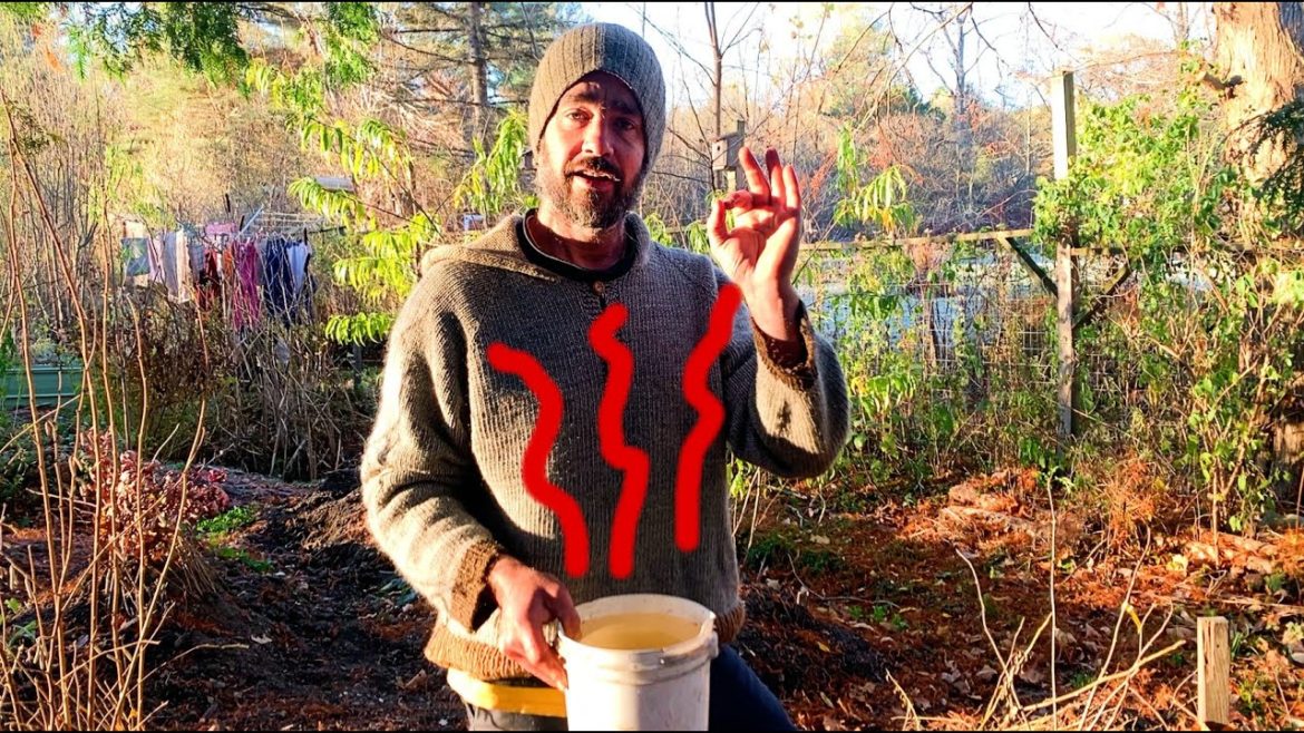 FREE warm water! (simple compost heat experiment)