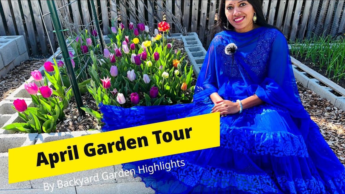 April | Spring Garden Tour | Tulips | Daffodils | Hyacinths🌸🌸🌸 | Backyard Garden Highlights