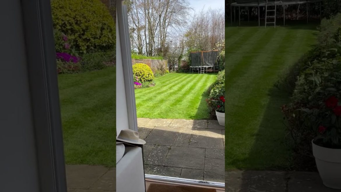 Beautiful Lawn Garden