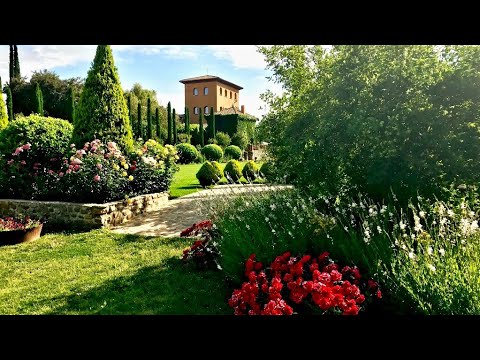 🌺Отличные идеи для создания красивого сада / Landscaping Ideas / A – Video 🌺Отличные идеи для создания красивого сада / Landscaping Ideas / A - Video