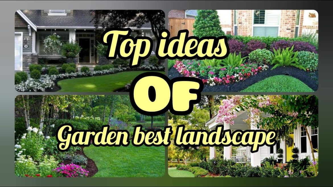 TOP GARDEN LANDSCAPE DESIGN | Garden Aesthetic