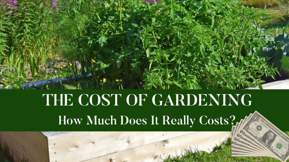 The COST OF GARDENING: How Much Does It Really Cost? The COST OF GARDENING: How Much Does It Really Cost?