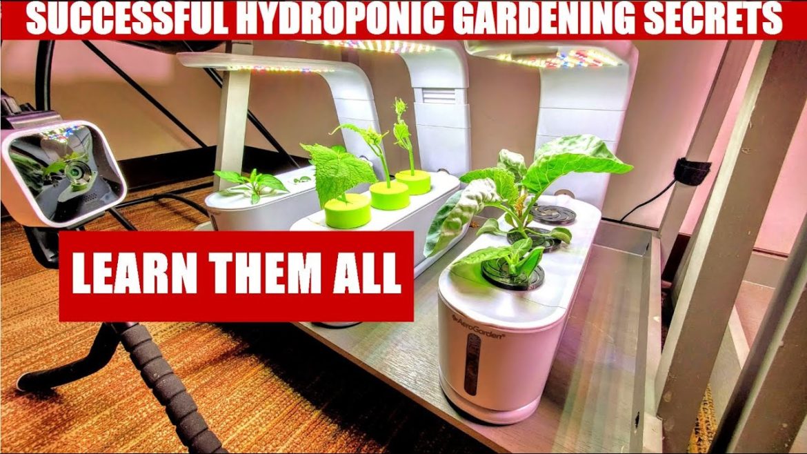 HOW TO FIND SUCCESS WITH AEROGARDENS AND HYDROPONIC FARMING HOW TO FIND SUCCESS WITH AEROGARDENS AND HYDROPONIC FARMING