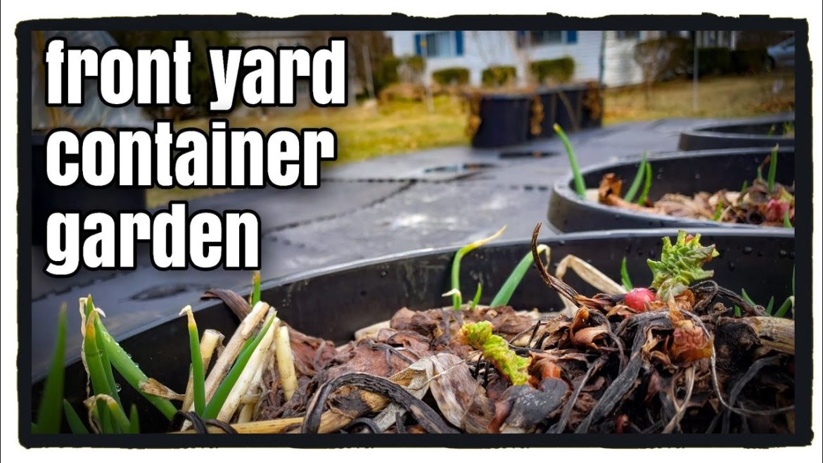 Front Yard Container Garden Front Yard Container Garden