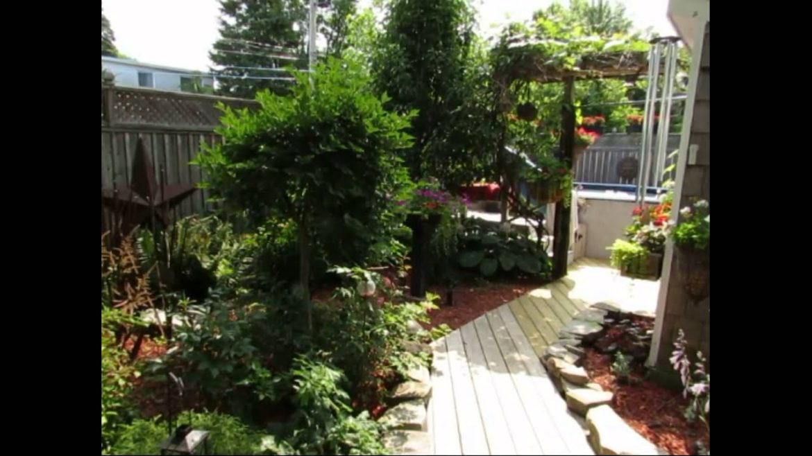 My Backyard Garden Tour – July 2014 – Mike Laking My Backyard Garden Tour - July 2014 - Mike Laking