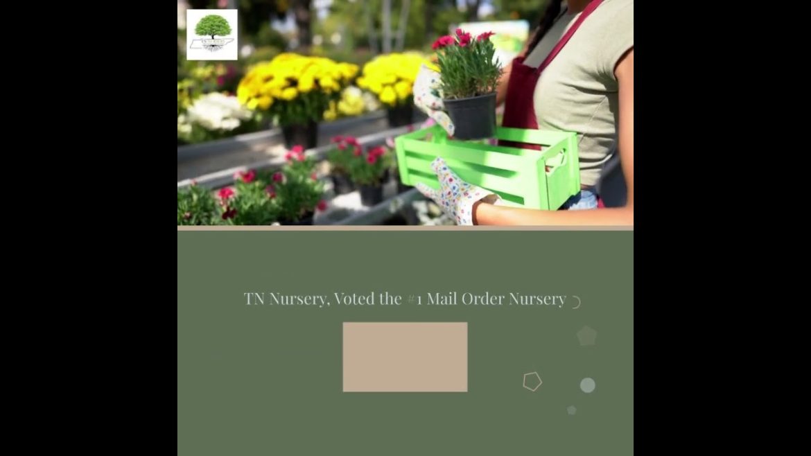 Join Our Gardening Newsletter - TN Nursery
