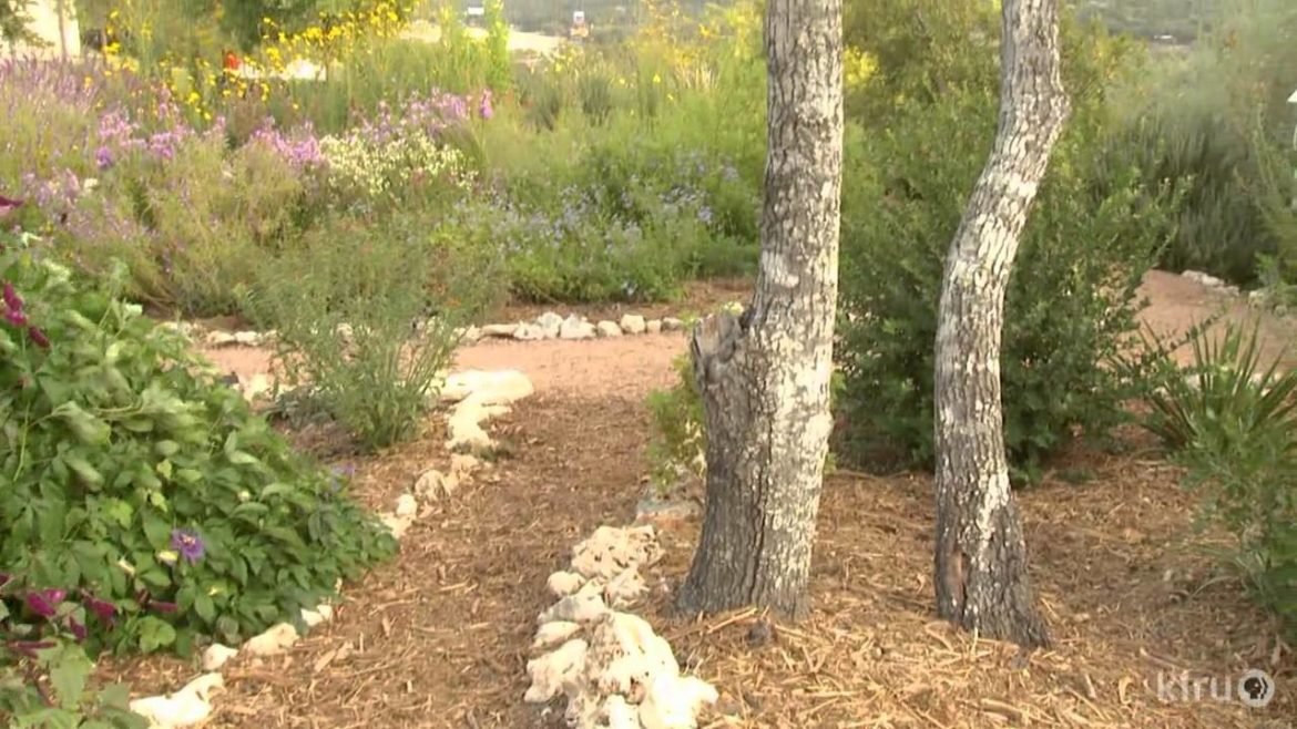 Butterfly garden design | Bulverde/Spring Branch Library | Central Texas Gardener