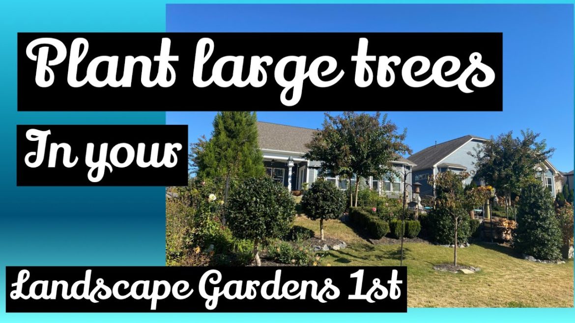 Start with large trees first in your landscaping Start with large trees first in your landscaping