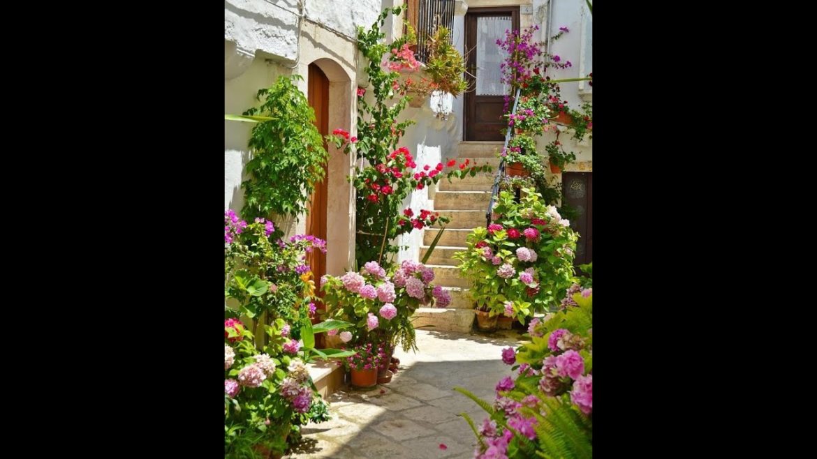 Front Yard Garden Landscaping Ideas 2022 | Backyard Patio Design | Home Garden Decor Ideas #shorts Front Yard Garden Landscaping Ideas 2022 | Backyard Patio Design | Home Garden Decor Ideas #shorts