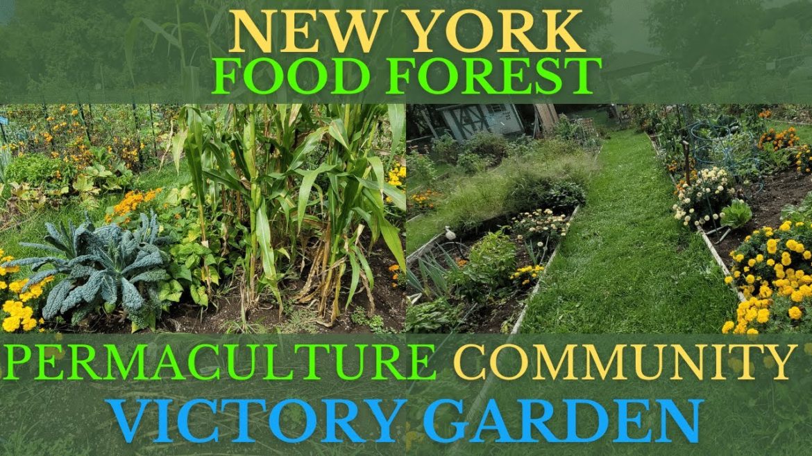 AMAZING New York Permaculture Community Garden Starting a Food Forest! AMAZING New York Permaculture Community Garden Starting a Food Forest!