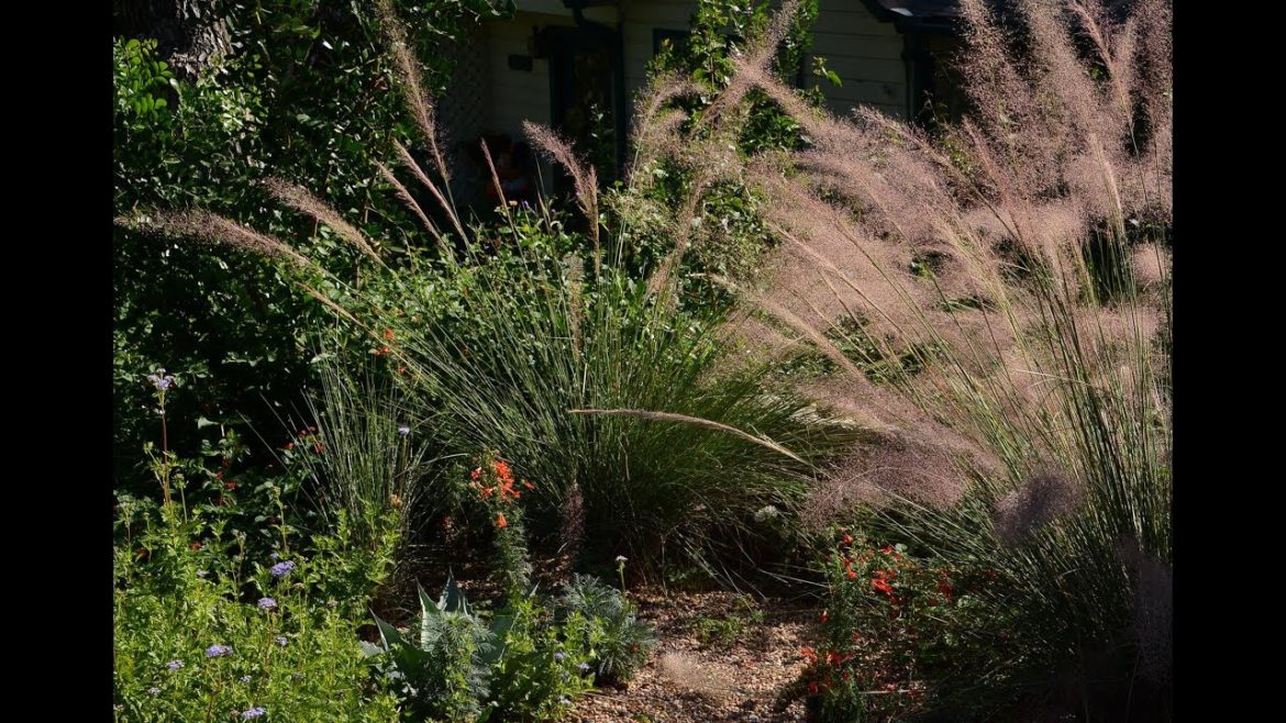 Back to the Future Garden Design |Maverick Fisher| Central Texas Gardener
