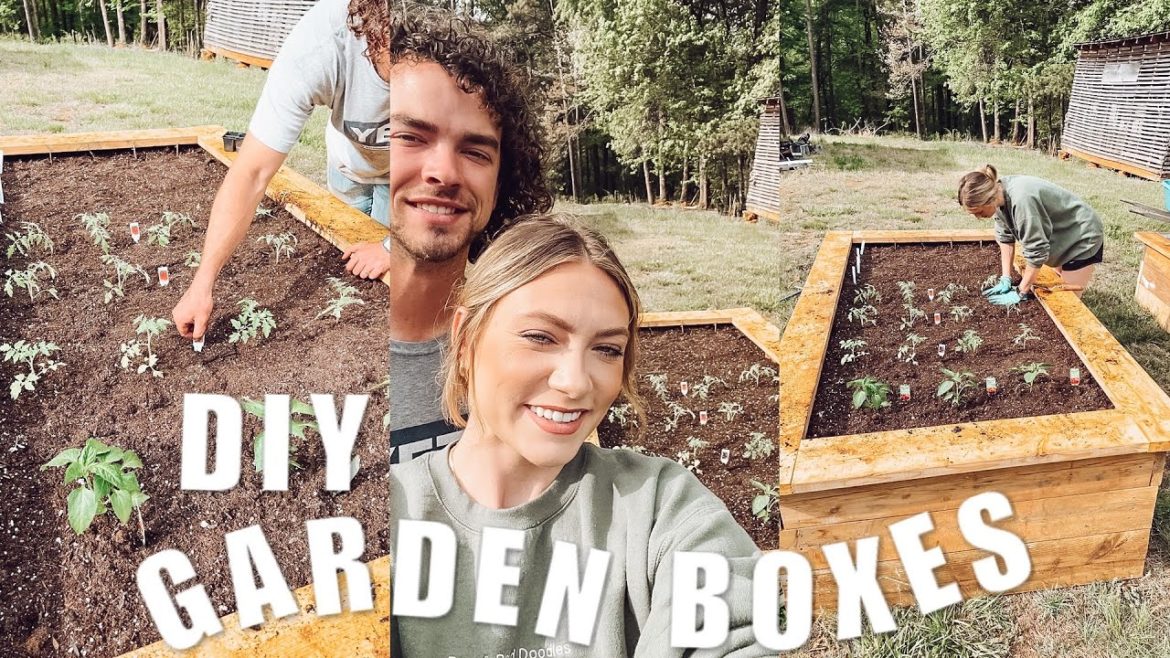 DOG MOM VLOG | OUR BACKYARD GARDEN & DIY RAISED GARDEN BED DOG MOM VLOG | OUR BACKYARD GARDEN & DIY RAISED GARDEN BED