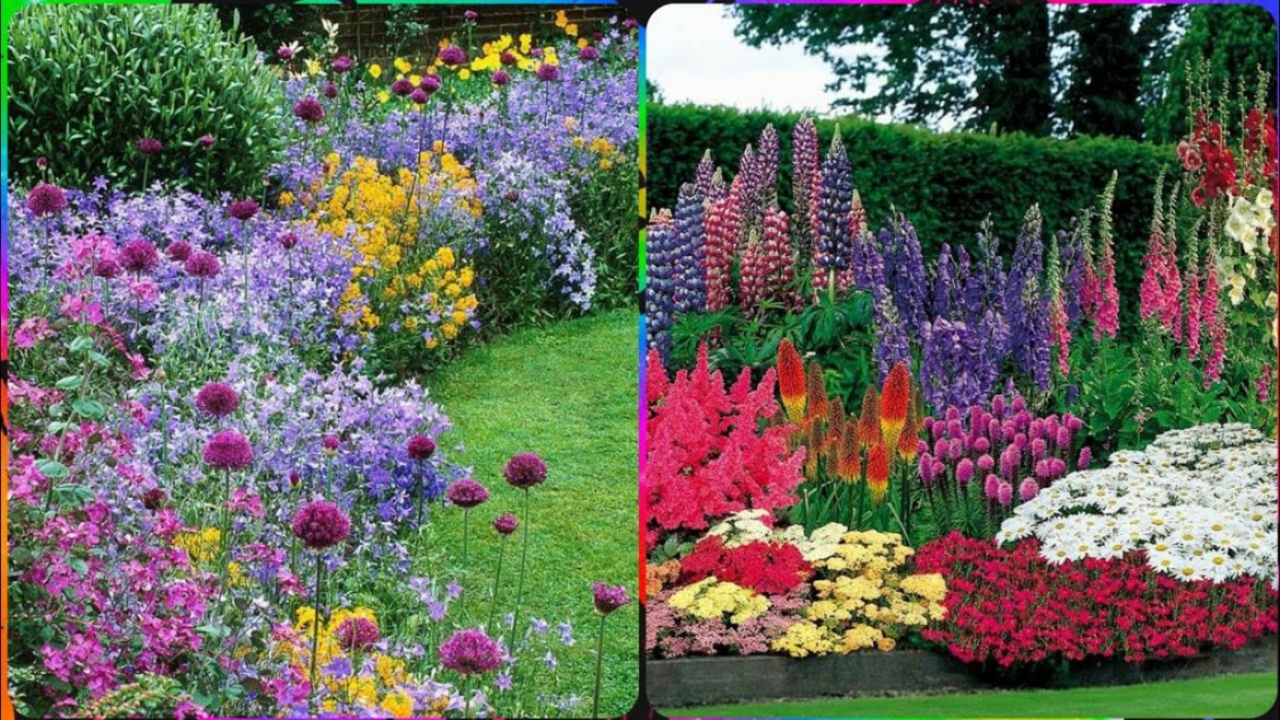 Most innovative and outstanding colour full flower garden Ideas And collection