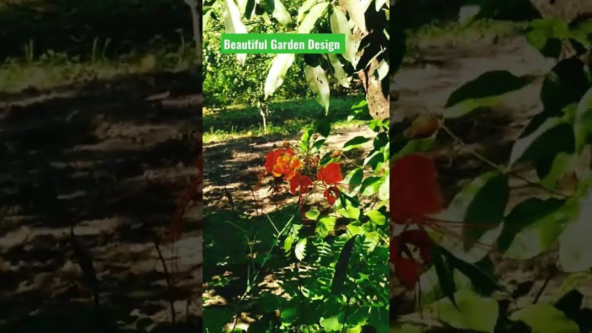 Beautiful Garden Design with Rådachura Flowers . #shorts