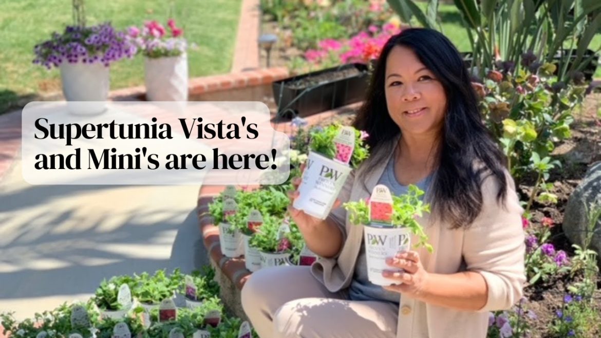 🌿Proven Winners Unboxing | Supertunia Vista's & Mini's | Southern California Backyard Garden 🌿Proven Winners Unboxing | Supertunia Vista's & Mini's | Southern California Backyard Garden