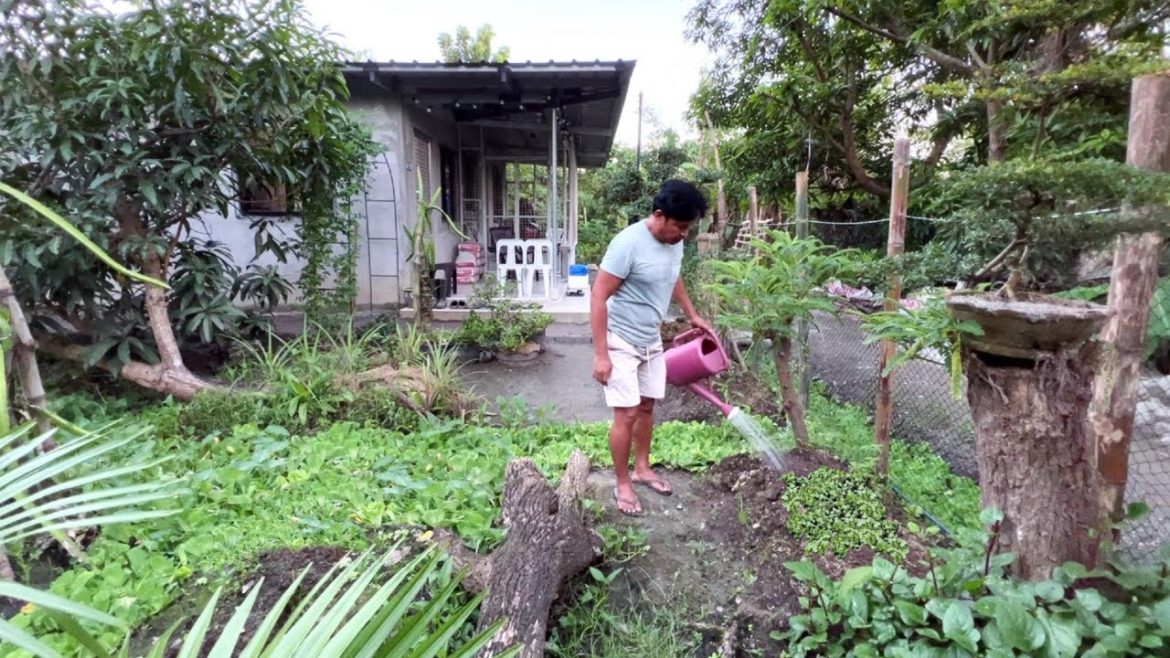MUNTING BAHAY AT GULAYAN!!! PANGARAP NA SIMPLENG PAMUMUHAY!!! BUHAY PROBINSYA!!! ASMR. GARDENING!!!
