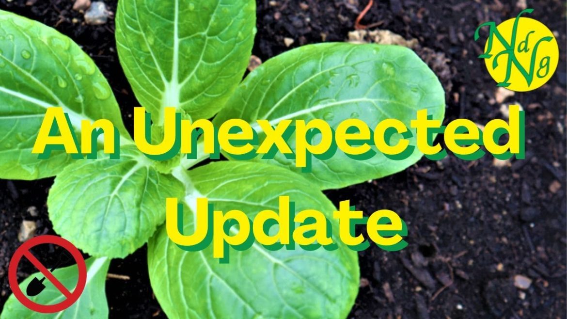 Greenhouse And Poly Tunnel Update