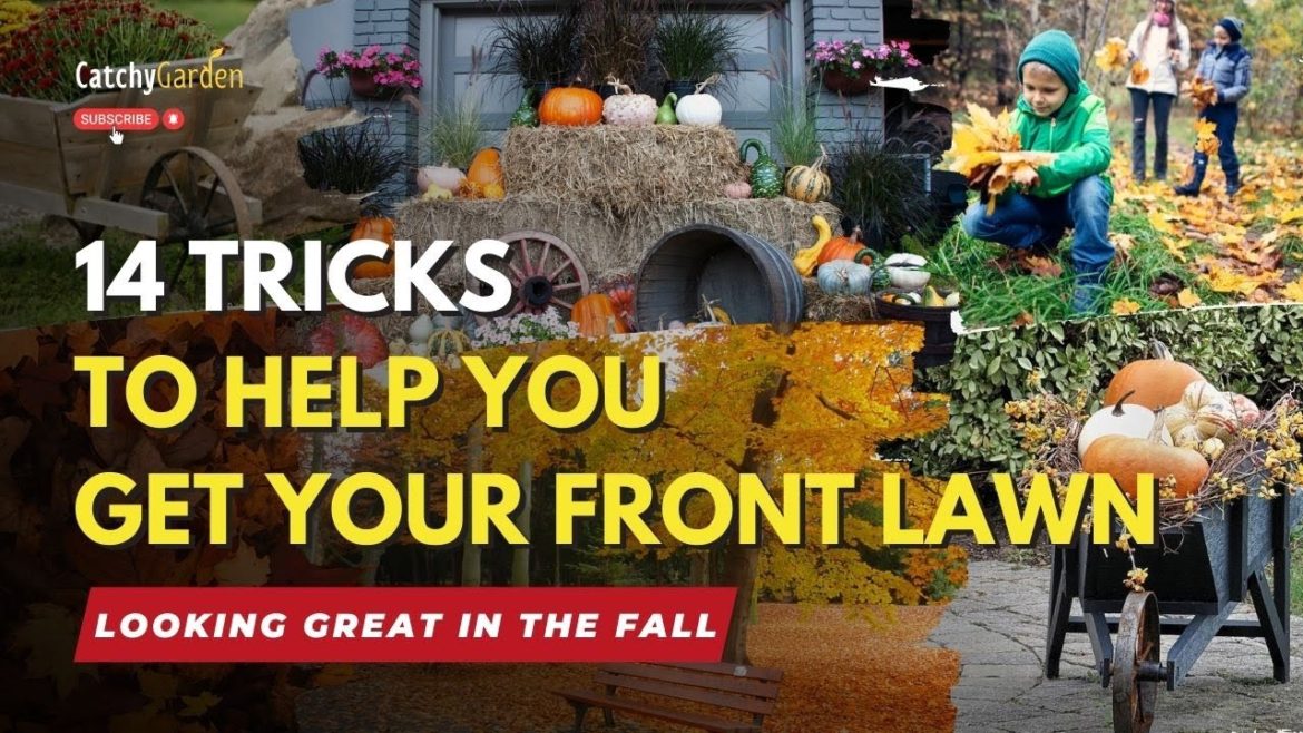 14 Tricks to Help You Get Your Front Lawn Looking Great in the Fall 🍁🍂 14 Tricks to Help You Get Your Front Lawn Looking Great in the Fall 🍁🍂