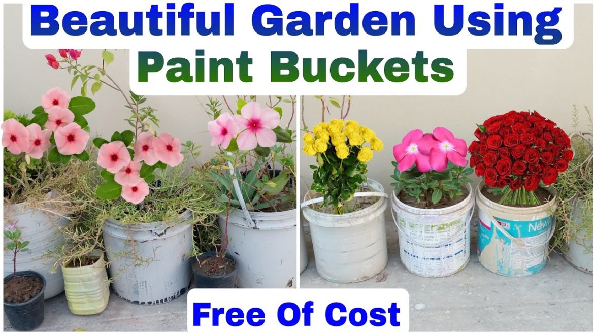 Beautiful Garden Using Paint Buckets | Reuse Plastic Containers | Recycle Plastic Bottles