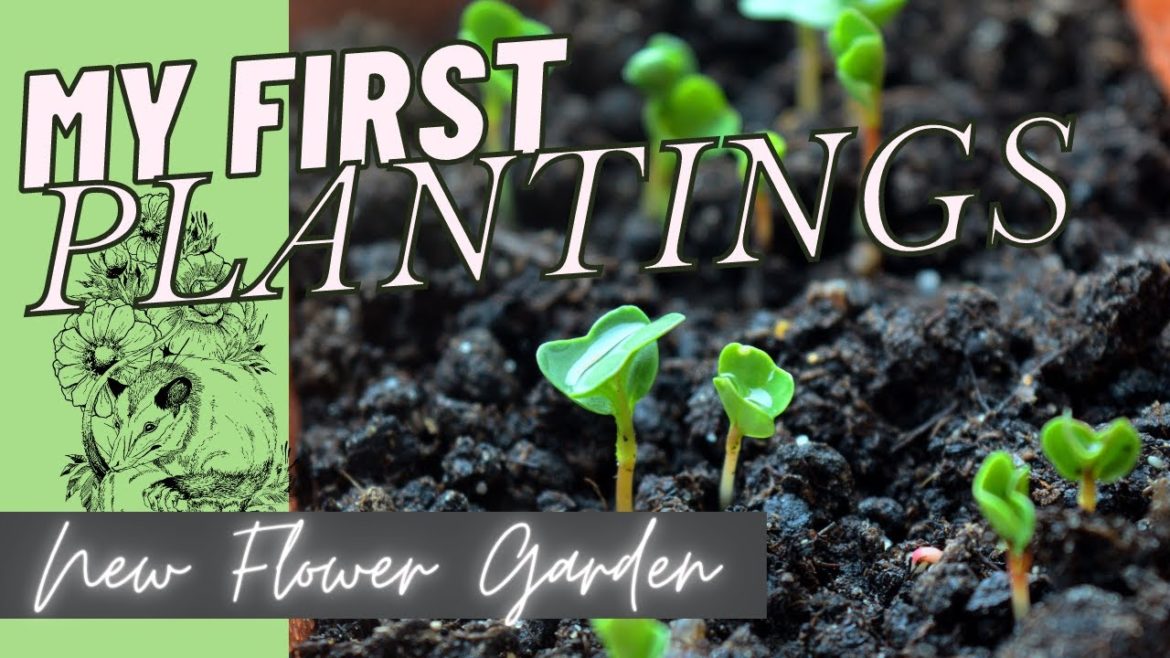 FIRST PLANTINGS NEW GARDENING // CLEANING THE BARN // PT. 3 - Backyard Flower Farm - Fall Plantings