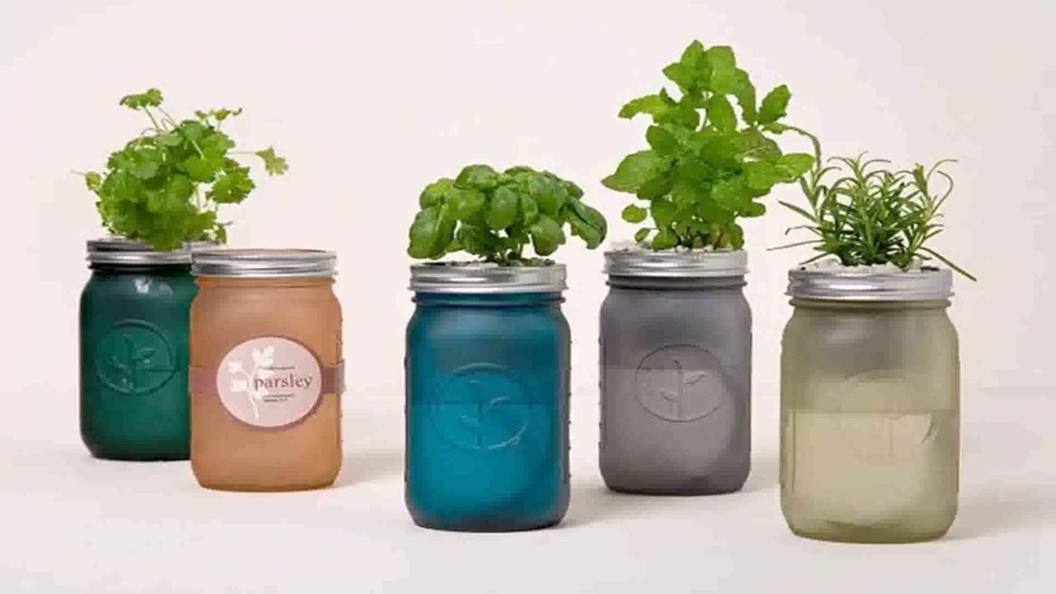 Adorable Home Garden Design Ideas