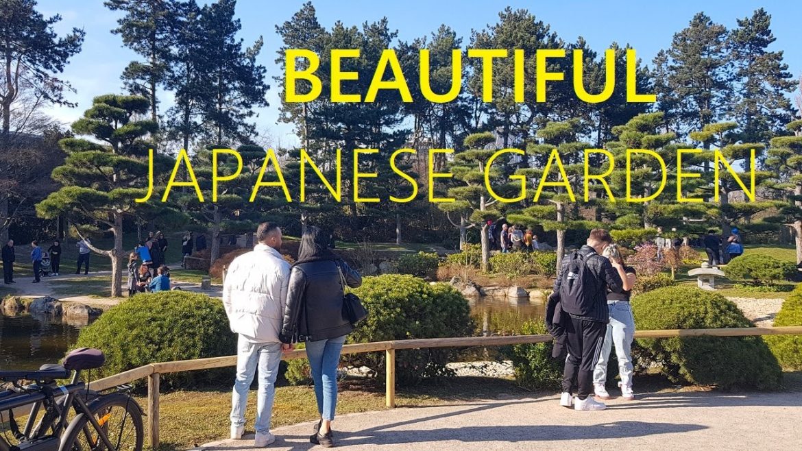 Japanese garden | The most beautiful park in Dusseldorf | Spring Walking | Birdsong | Relax