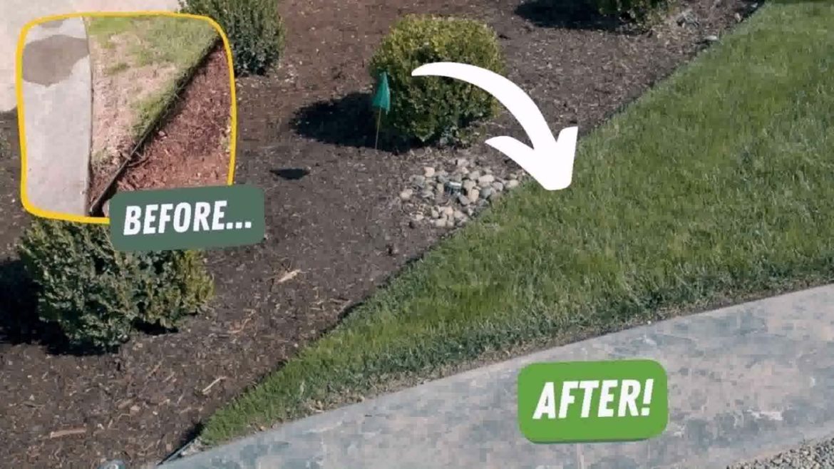 Simple Home Garden Design Ideas