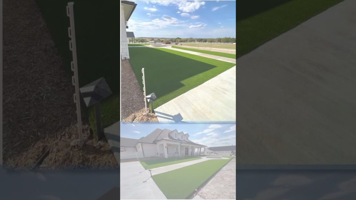 Pave N Turf Frisco Texas Front Yard Turf Transformation Pave N Turf Frisco Texas Front Yard Turf Transformation
