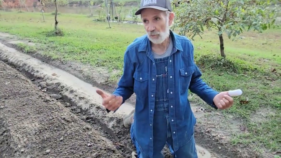 Onion PLANTING Time - What Variety Did We Start From SEEDS?