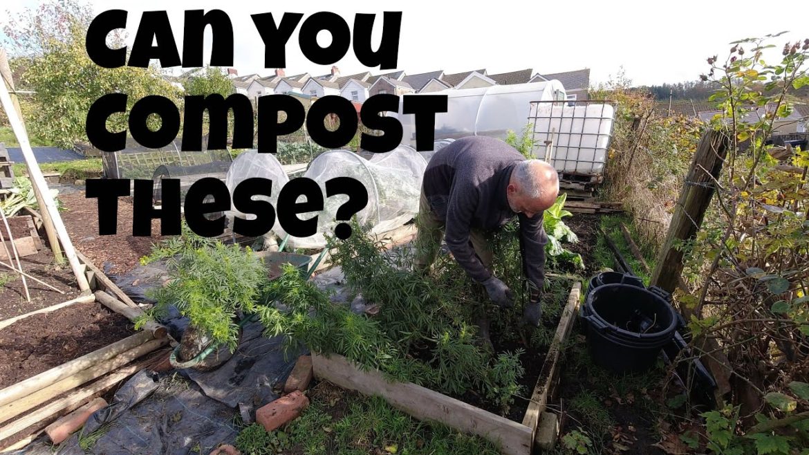 Can you compost these? | Allotments For Fun and Food