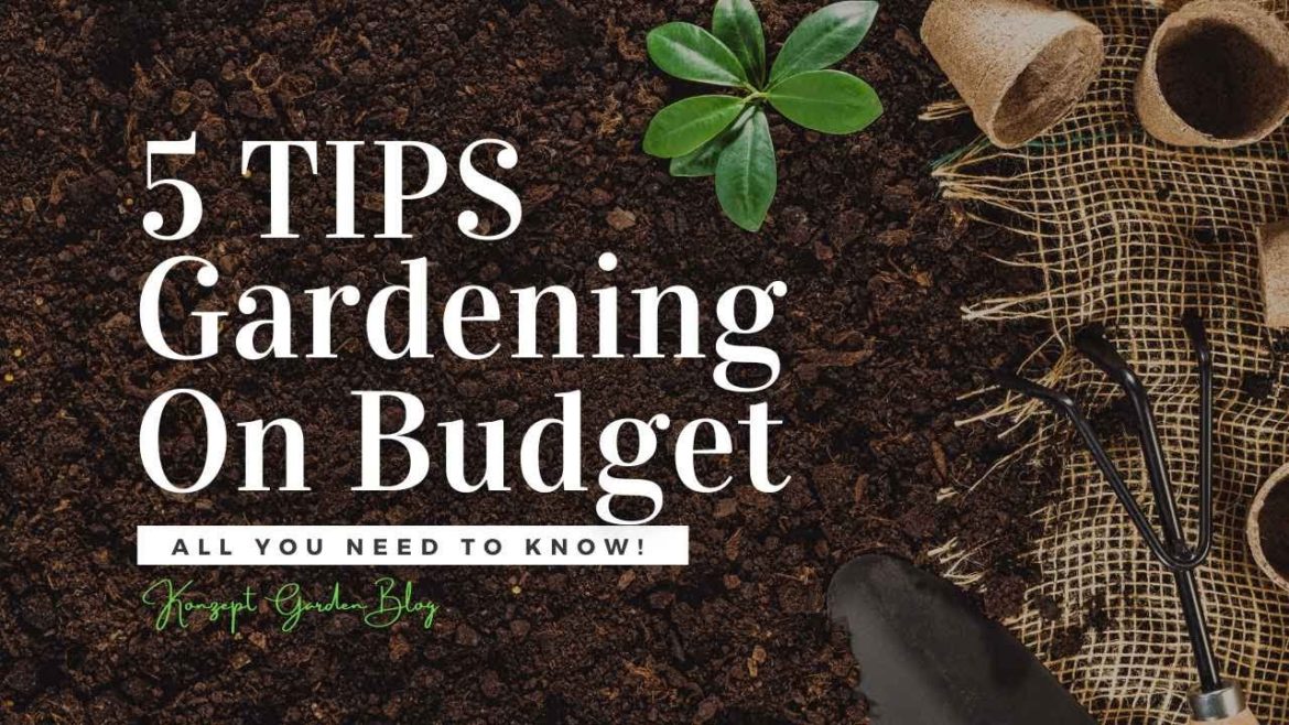 Garden 5 Tips Gardening on a Budget | Konzept Garden Blog