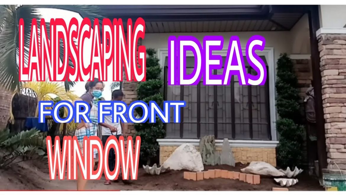 LANDSCAPING IDEAS  FOR FRONT WINDOW/YARD