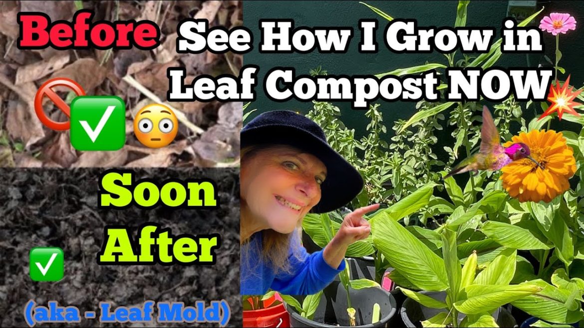 FREE SOIL How to Make Compost from Leaves EASY, Leaf Mold SUPER for Container Gardening Potting Soil