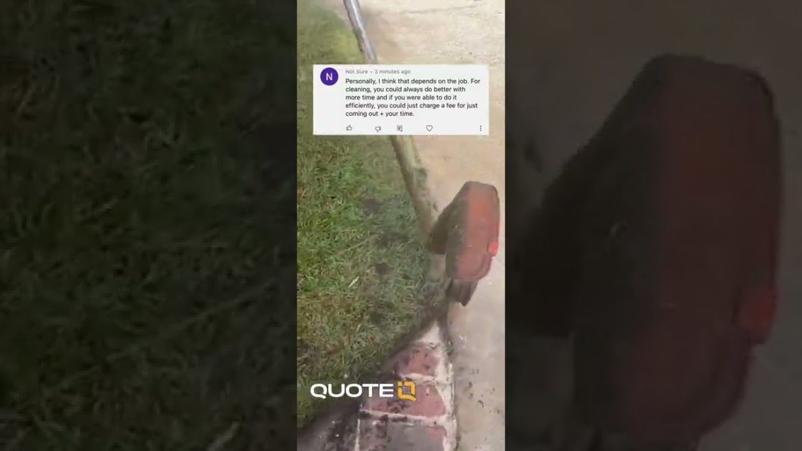 Maybe I'm The Stupid One Maybe I'm The Stupid One