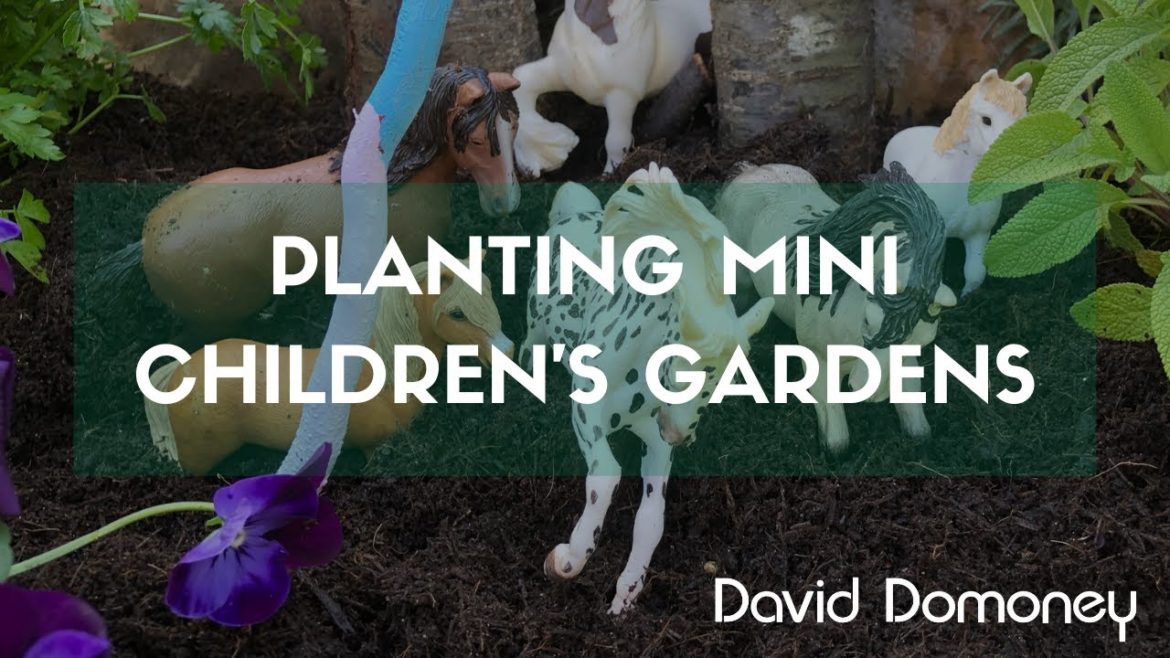 Planting Mini Children's Gardens Planting Mini Children's Gardens