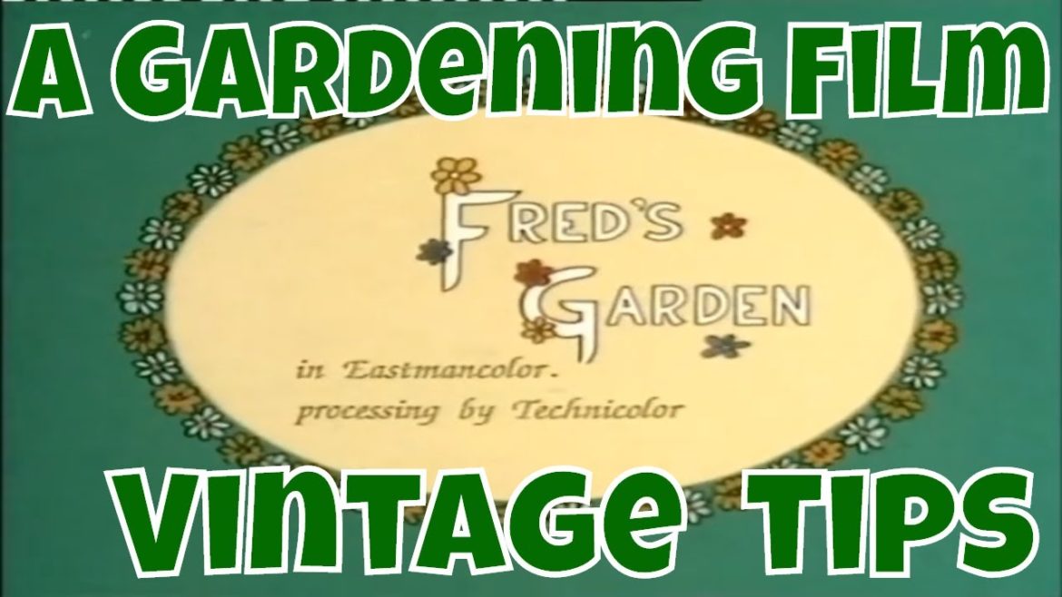 Freds Garden - 1984 film with gardening tips that still apply today!