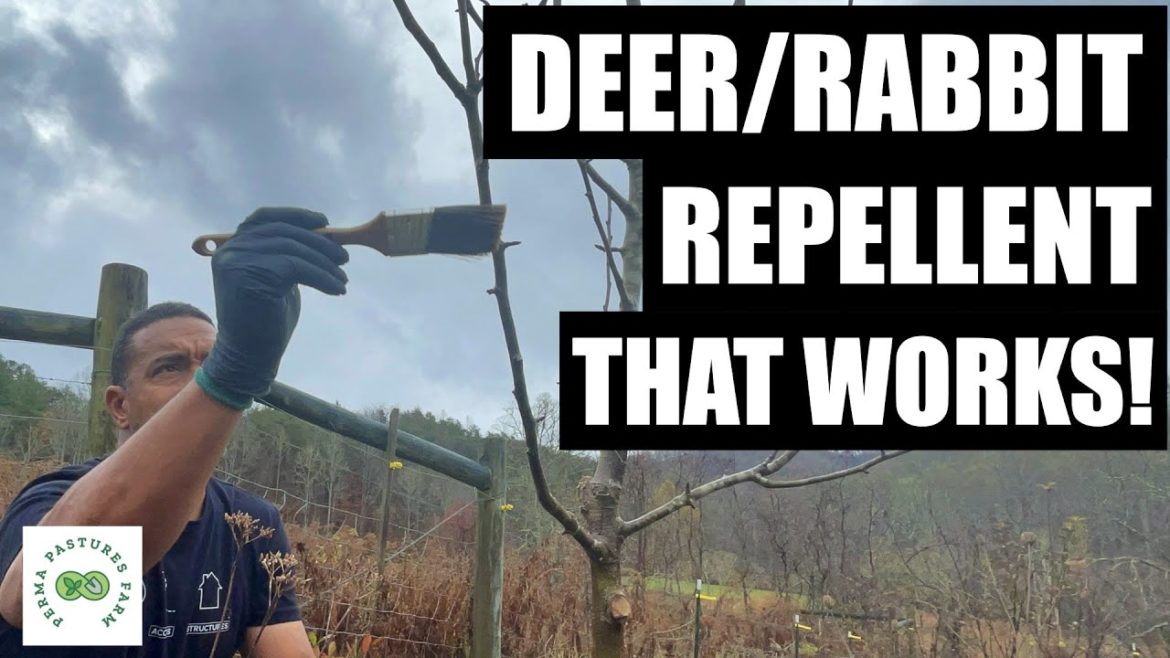 Tree Pruning with Deer and Rabbit Repellent Tree Pruning with Deer and Rabbit Repellent